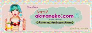 AkiraNEko